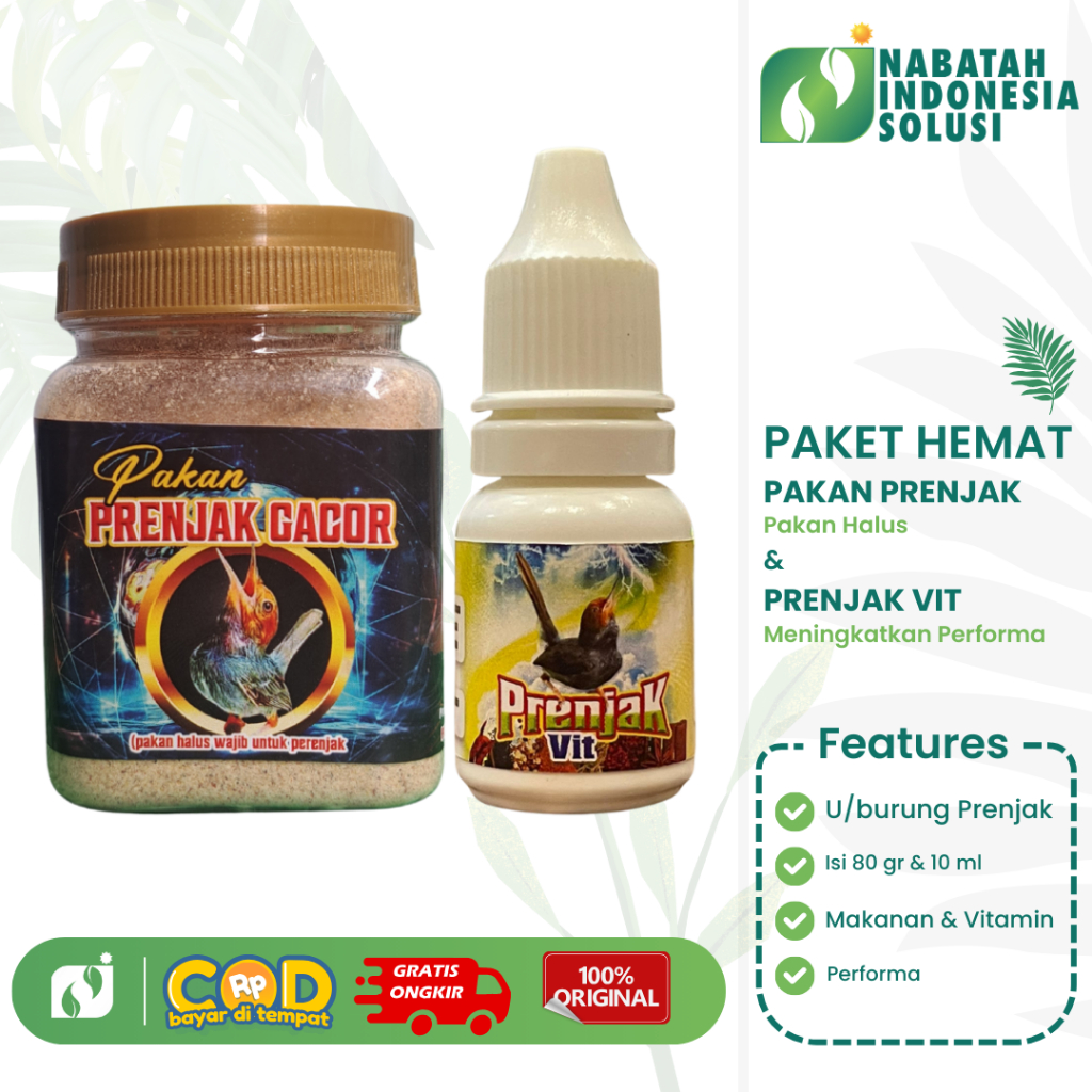 PAKET PRENJAK GACOR SEKETIKA VITAMIN PRENJAK DAN PAKAN PRENJAK PENGGACOR