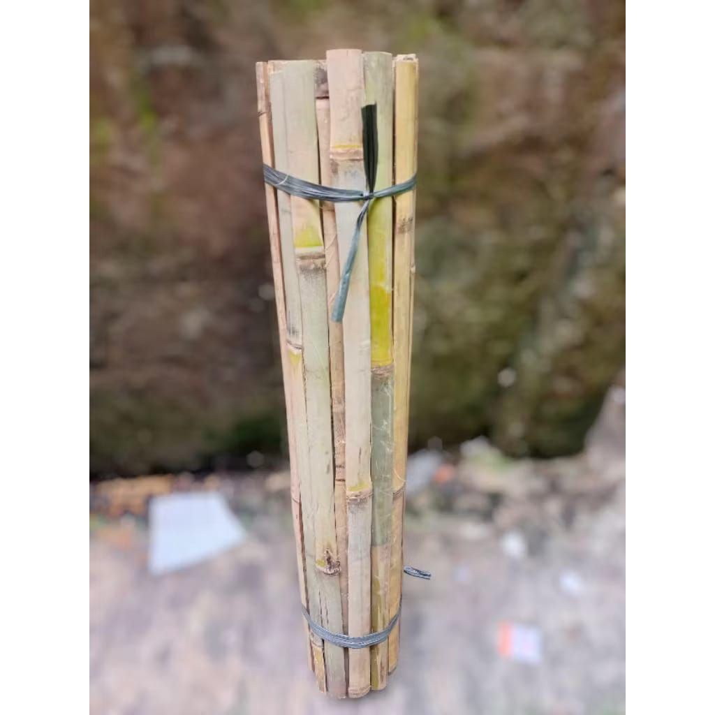 

tambahan bambu biar packing aman dan baik sampai tujuan