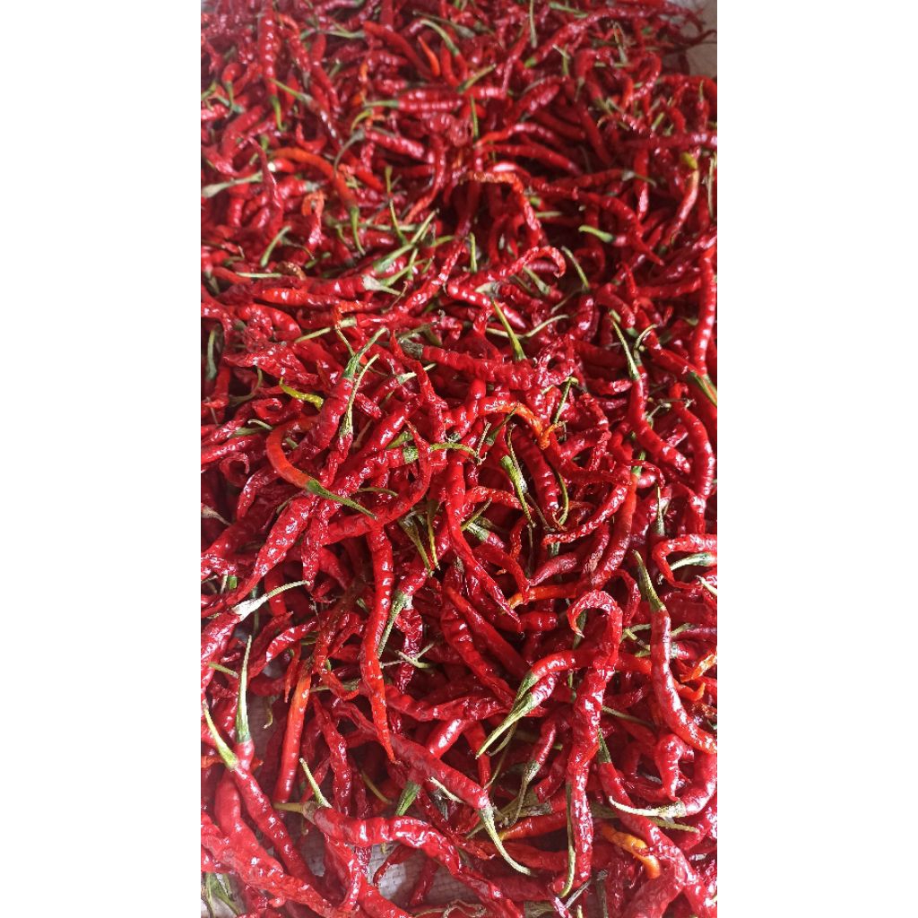 

Cabe Merah Keriting setengah kering 500gram/1kg