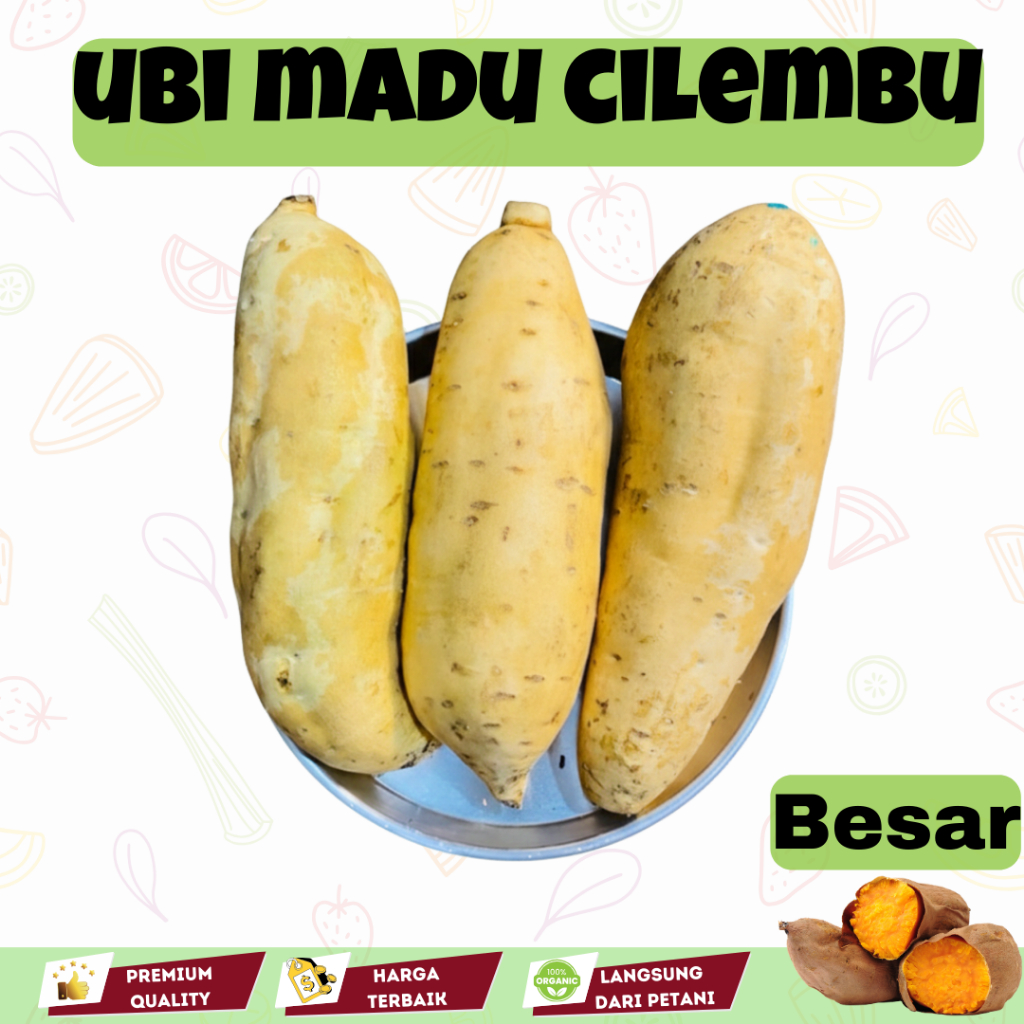 Ubi Madu Cilembu Premium Besar 1Kg Manis Legit Segar Mentah Siap Bakar Oven Garansi Fresh Langsung d