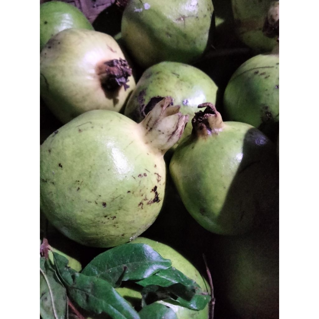 

buah delima campur sedang/kecil/besar 1 kg,menerima pengiriman banyak ya kakak