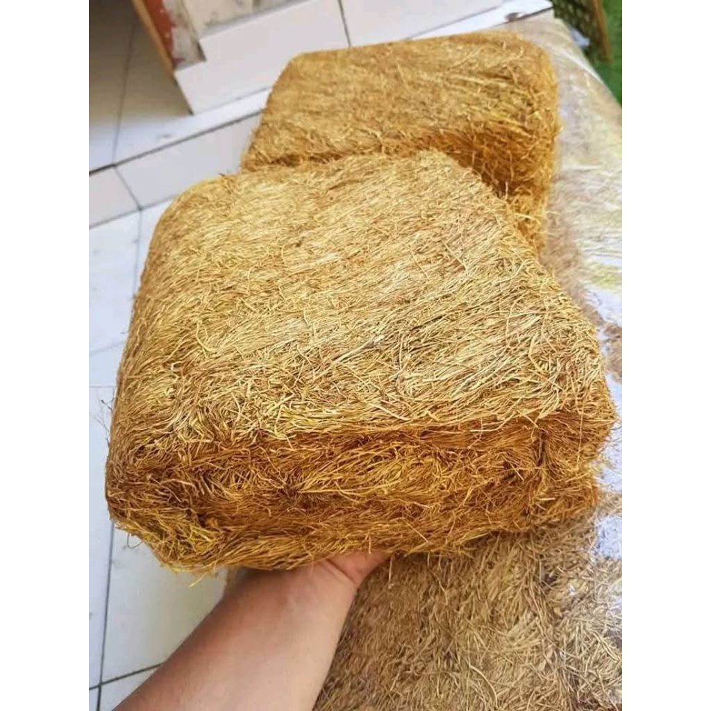 

manisan kastur1 obat paru paru DADA RASA HALUS ADA RASA SEDANG DAN BERAT