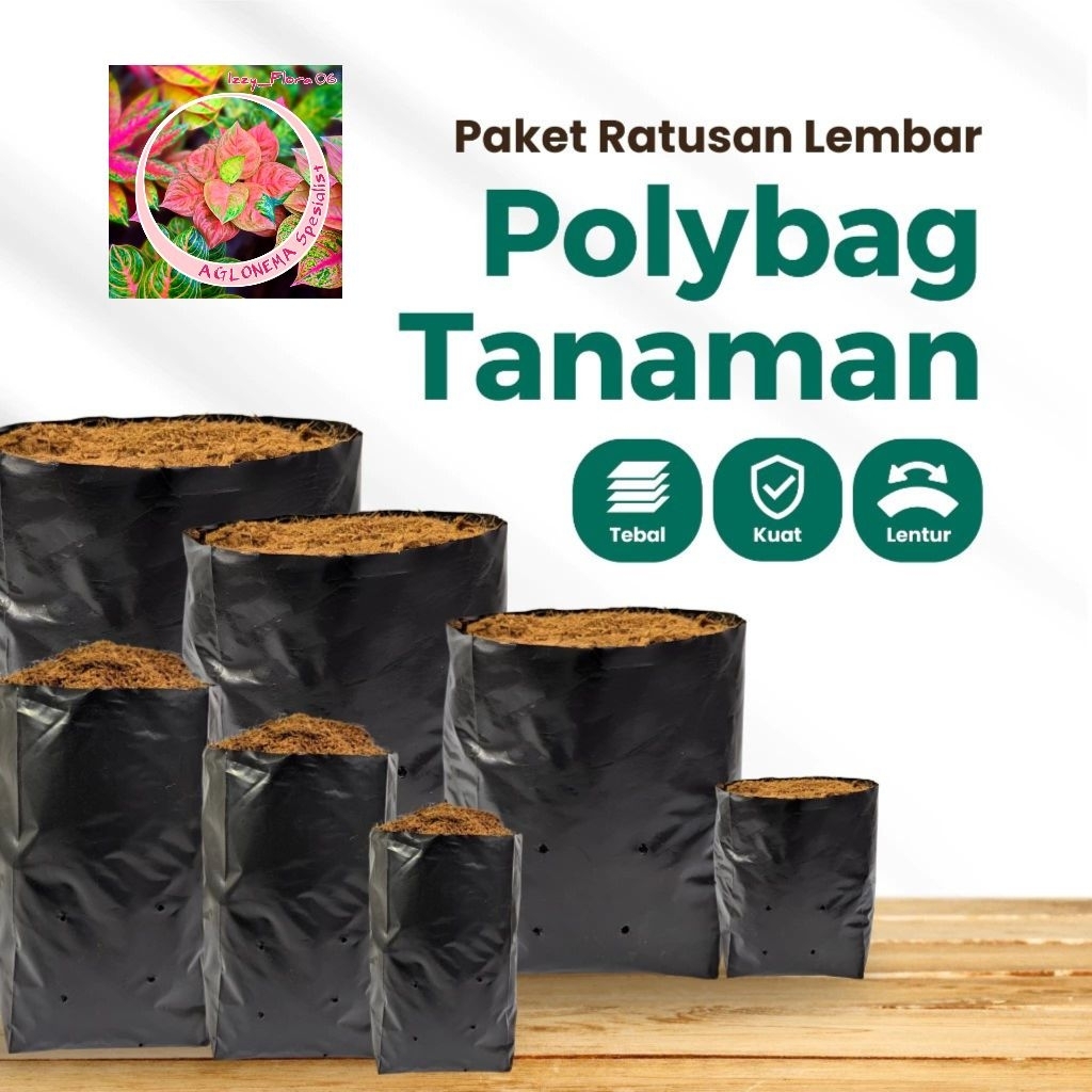 Polybag Ukuran 40x40Cm Isi 15 Lembar Tebal Awet Berkualitas Termurah Plastik Polybag Tanaman Hias