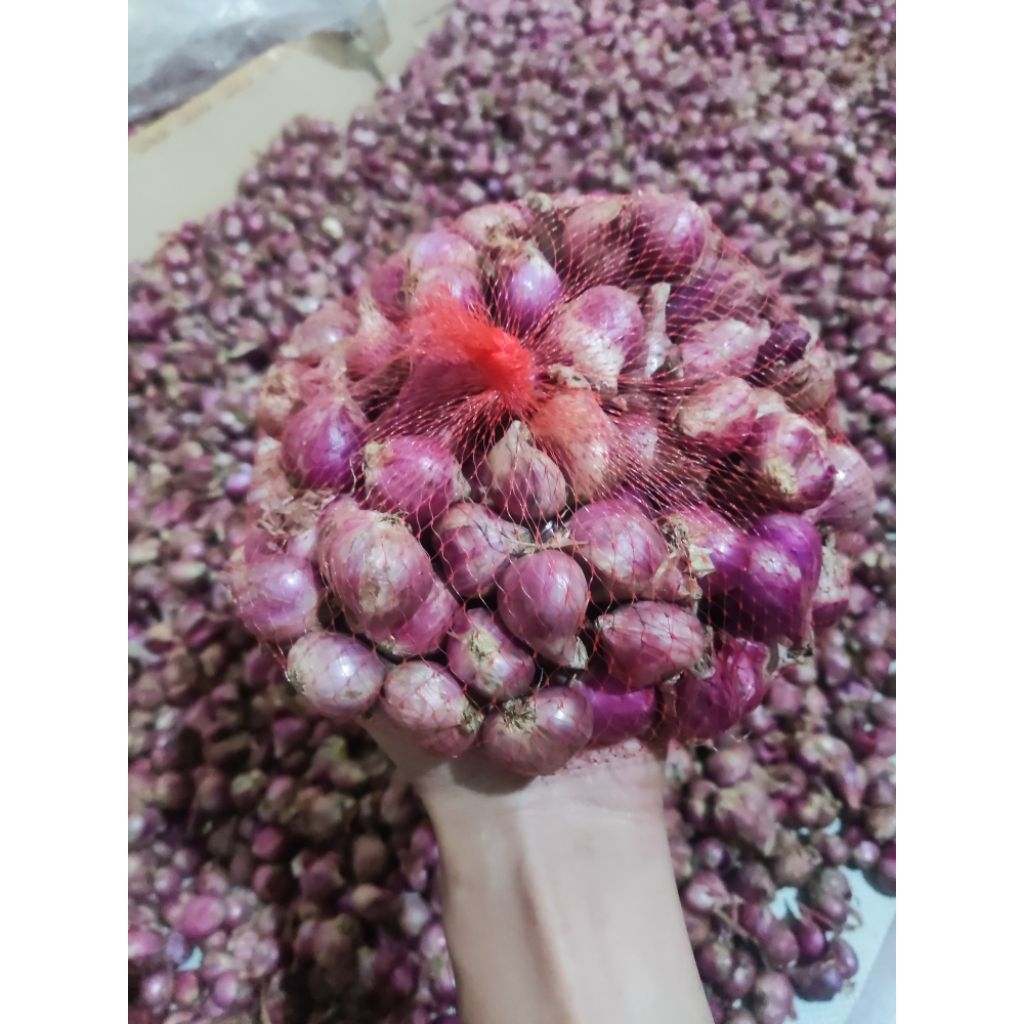 

bawang merah brebes super