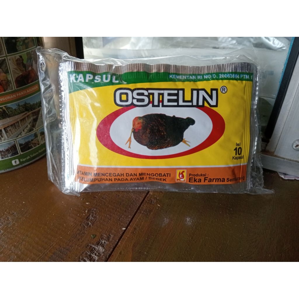 Ostelin obat lumpuh pada ayam