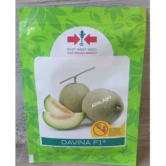 Benih Melon Davina F1 500 Butir