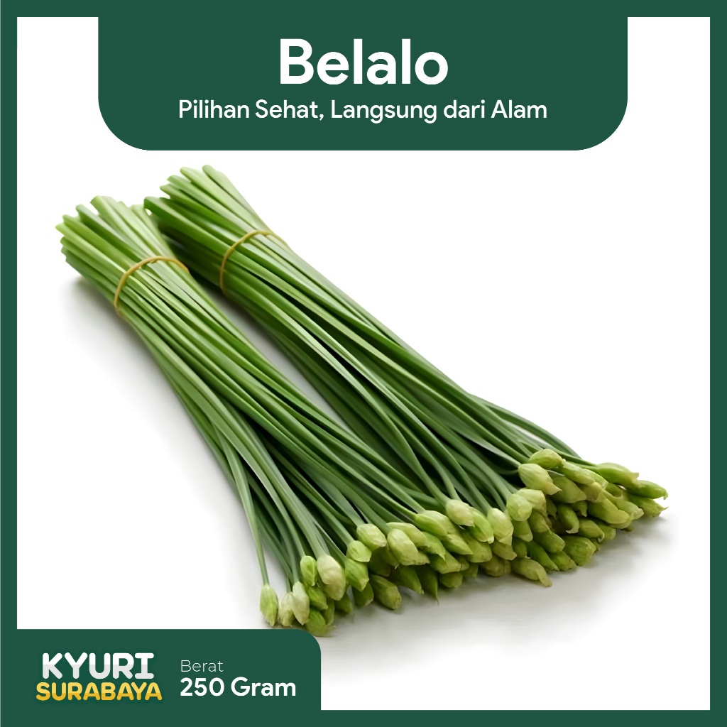 

Belalo / Bunga Bawang 250gr