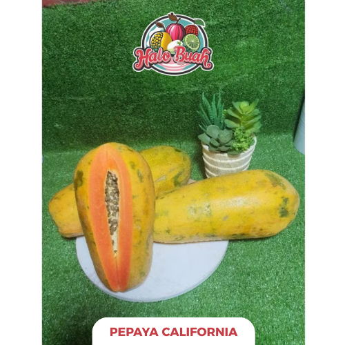 

Buah Pepaya California Per buah 1.5 - 2 kg