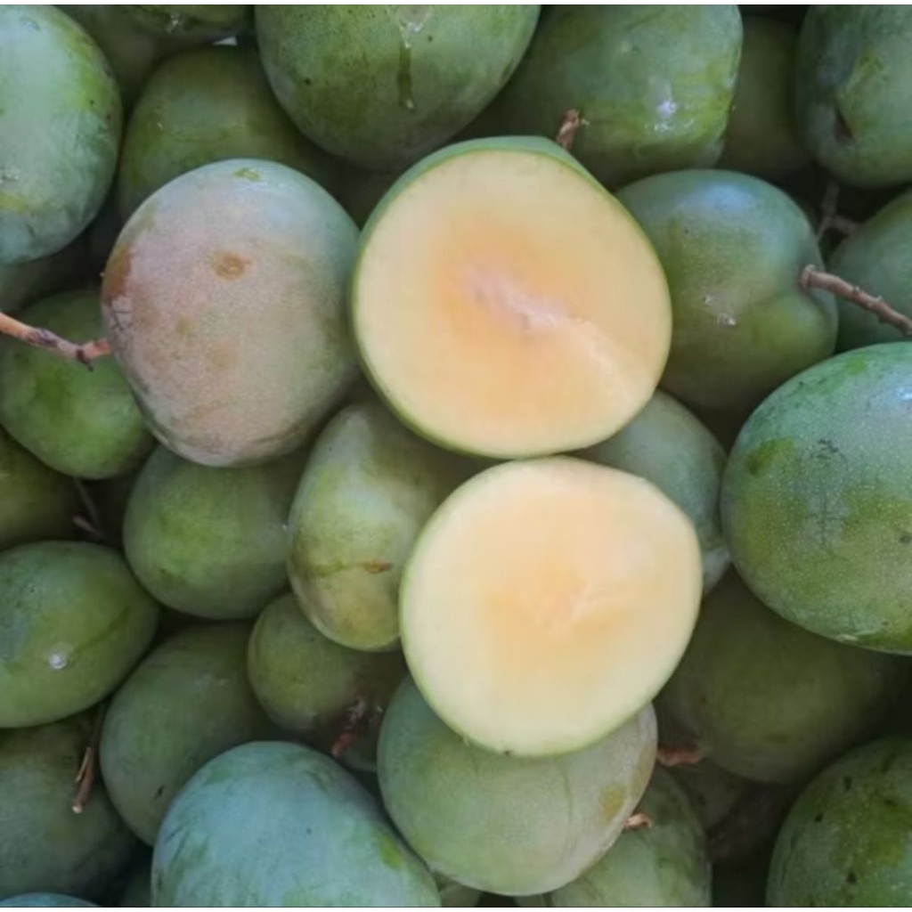 

MANGGA APEL FRESH 1KG ASAM MANIS