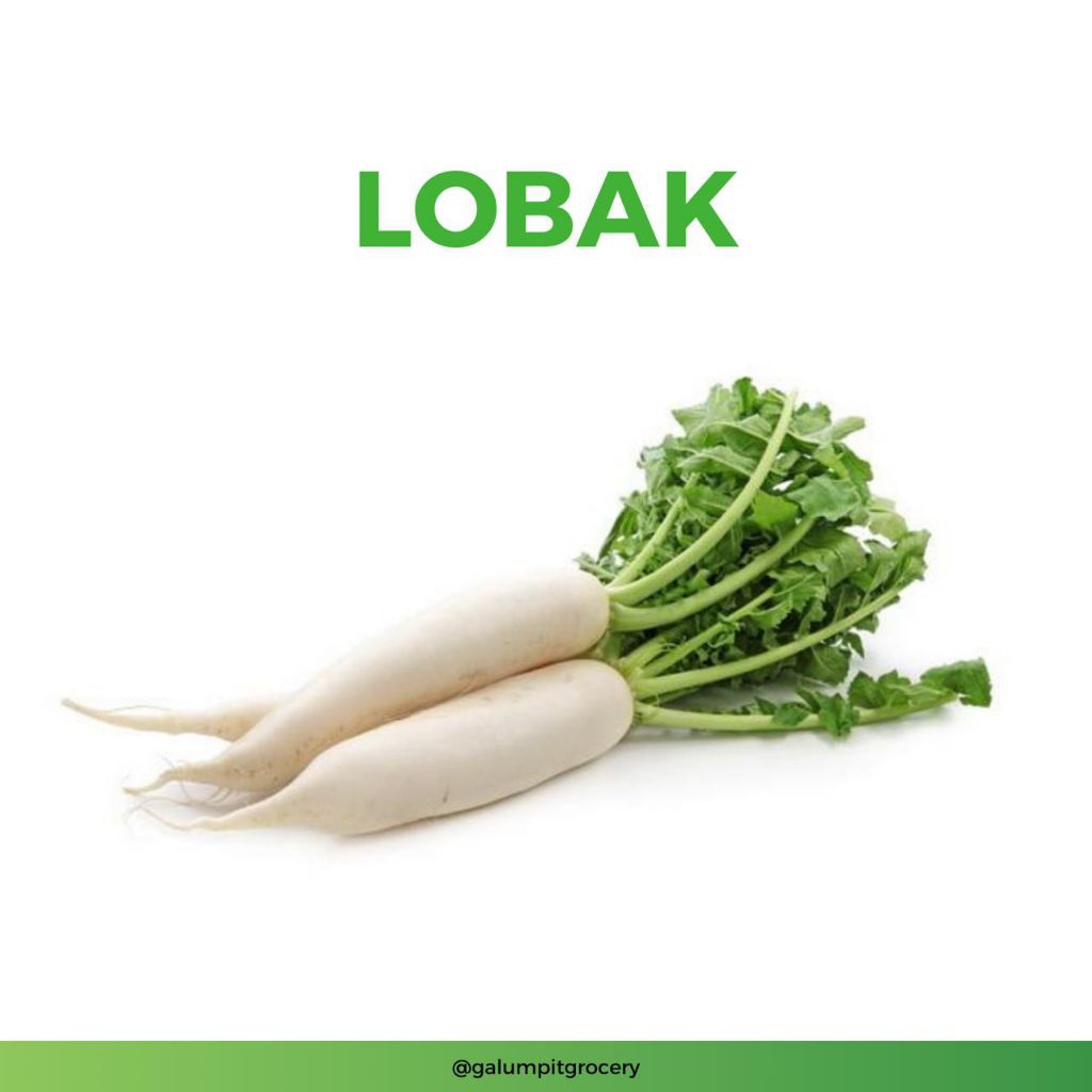

Lobak Segar 500-600gr | Kirim Instant Bandung Timur