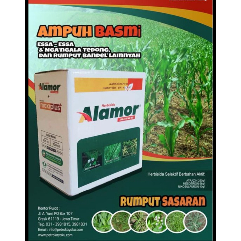 ALAMOR 200ml HERBISIDA JAGUNG GRINTING LULANGAN