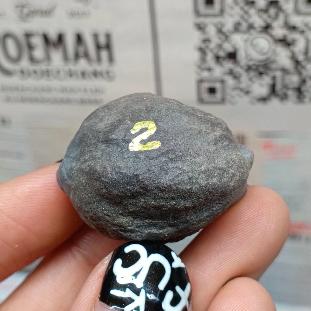 Muncang Adu Manohara Childs kode 2