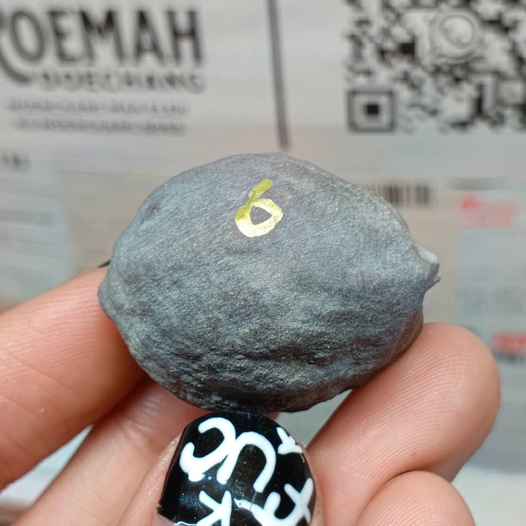 Muncang Adu Manohara Childs kode 6