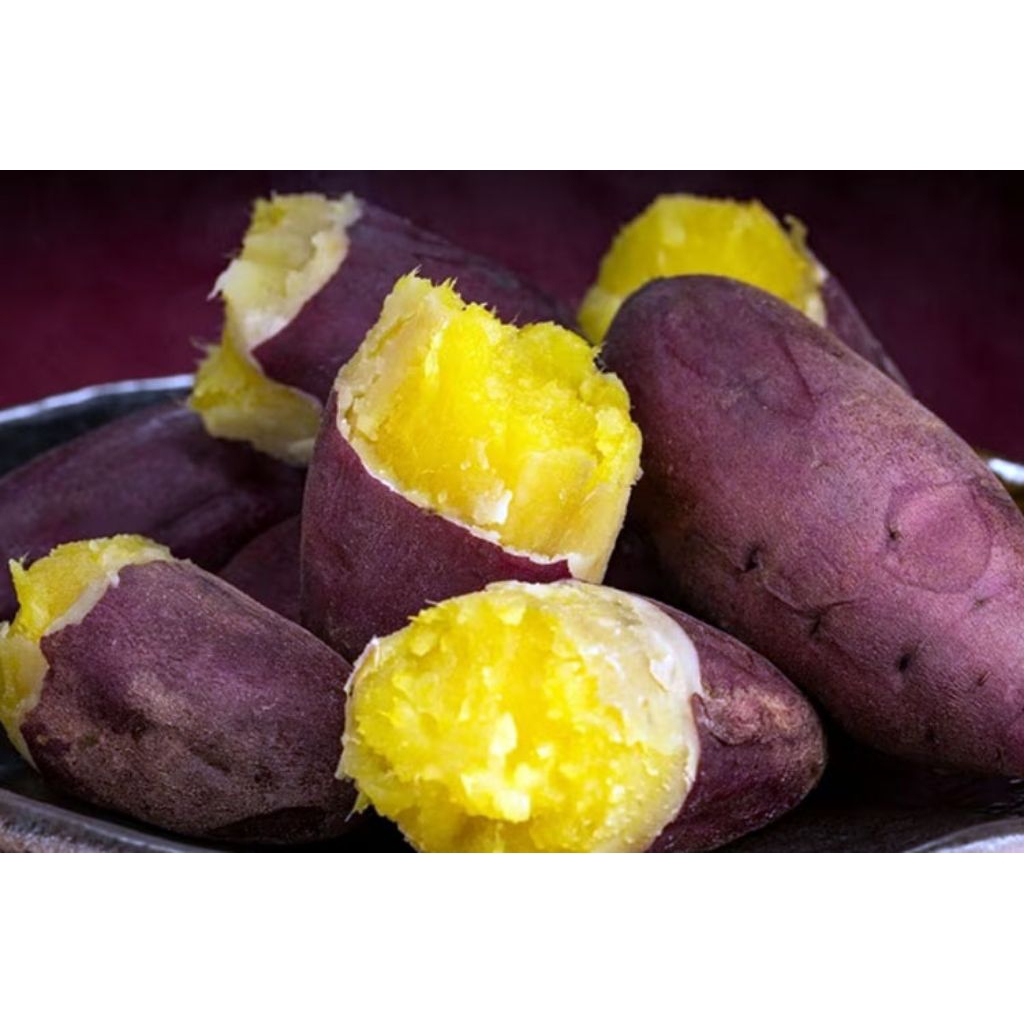 

Ubi Jalar Kuning Fres 1 kg Petik Langsung Dari Kebun