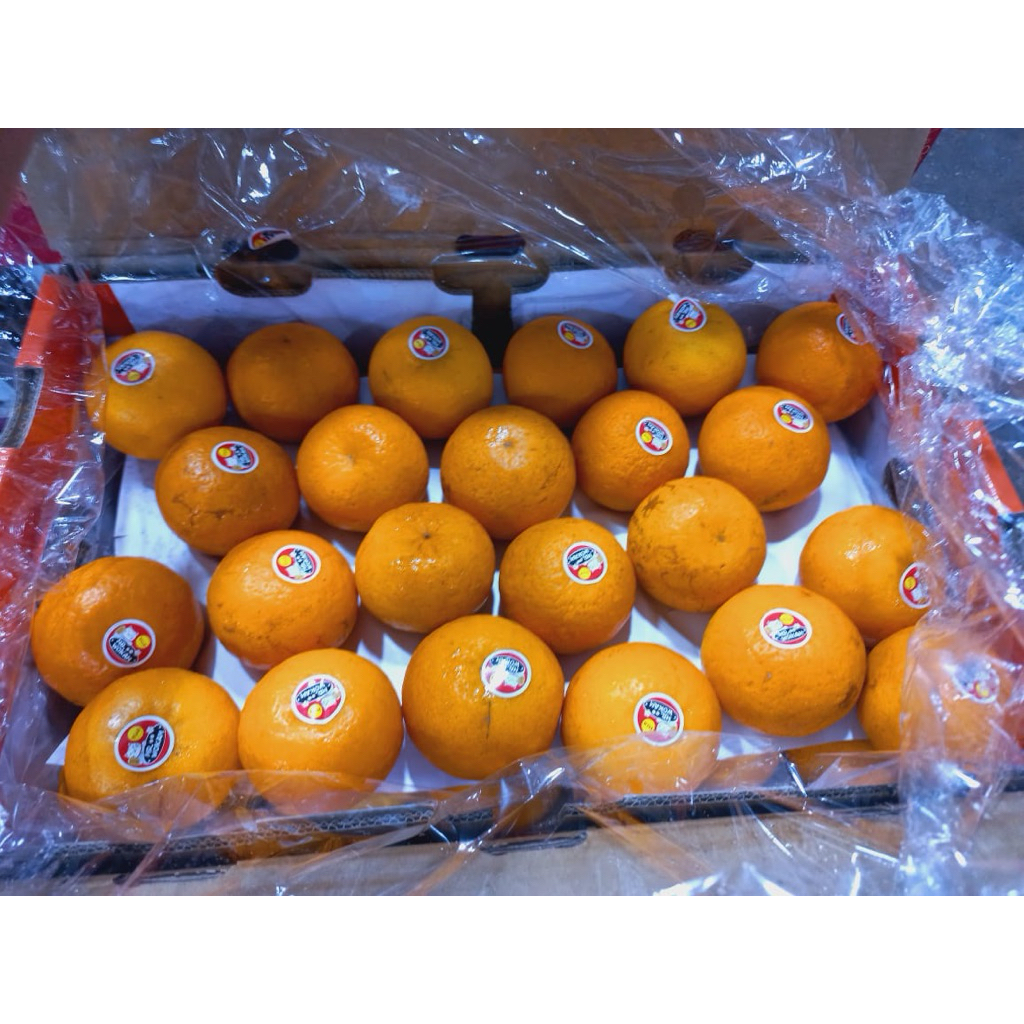 

Jeruk Mandarin Wokam manis segar