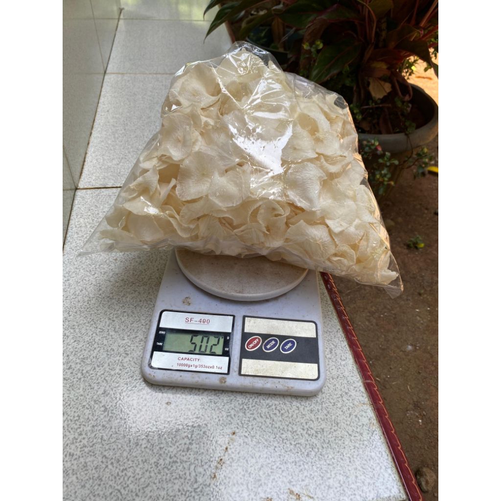 

KERIPIK SINGKONG MENTAH PREMIUM 500 Gram