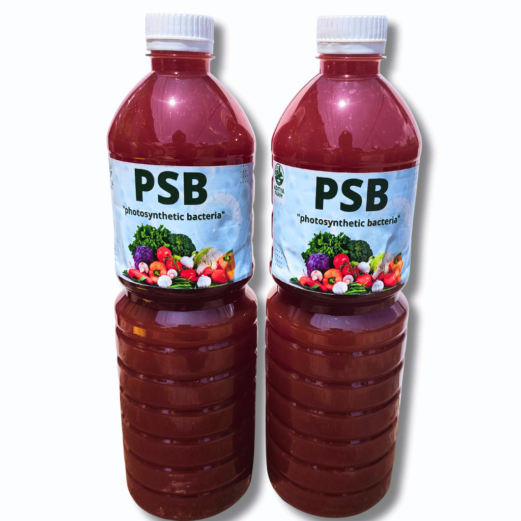 PSB Bakteri Fotosintesis Super Booster 1 Liter