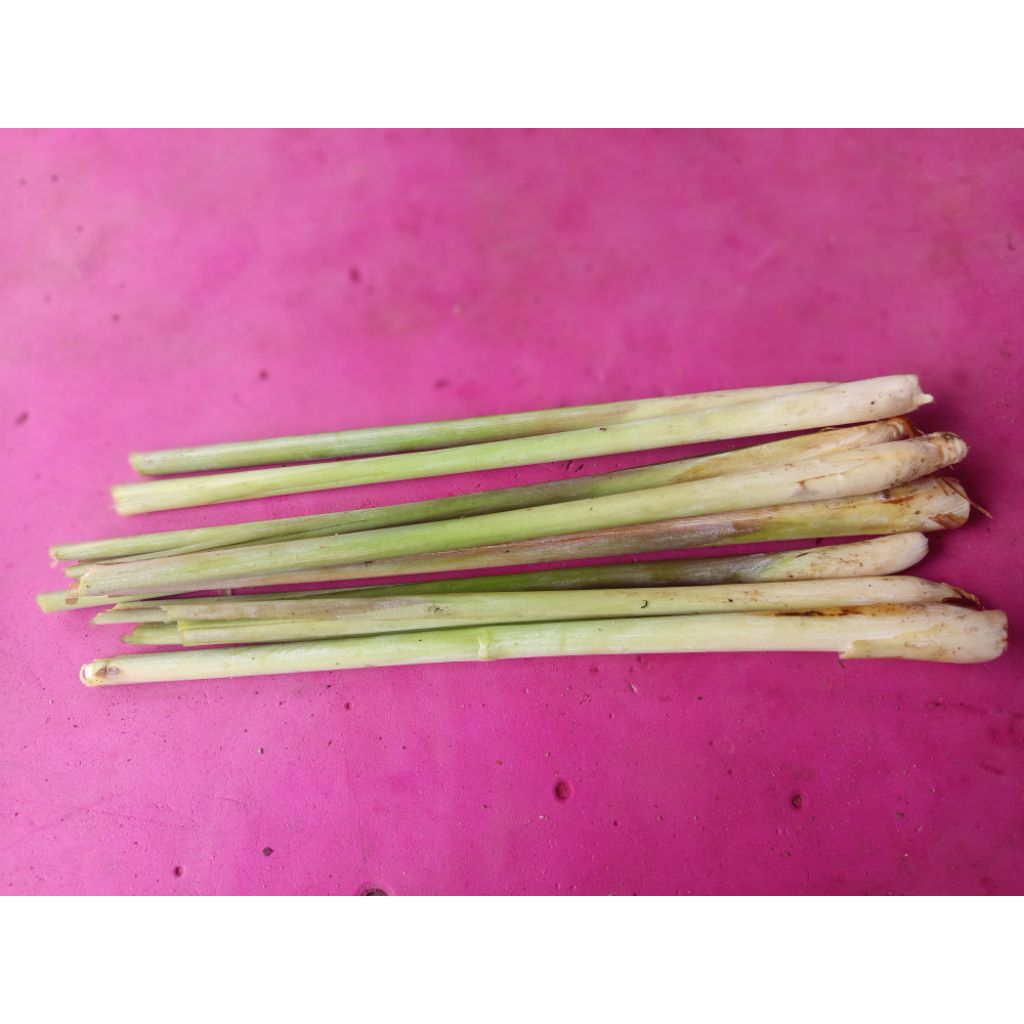 

SEREH BANGKOK LOKAL COCOK BUAT MASAK DAN JAMU 2KG