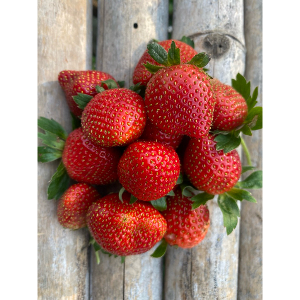 

strawberry segar ciwidey asli 1kg