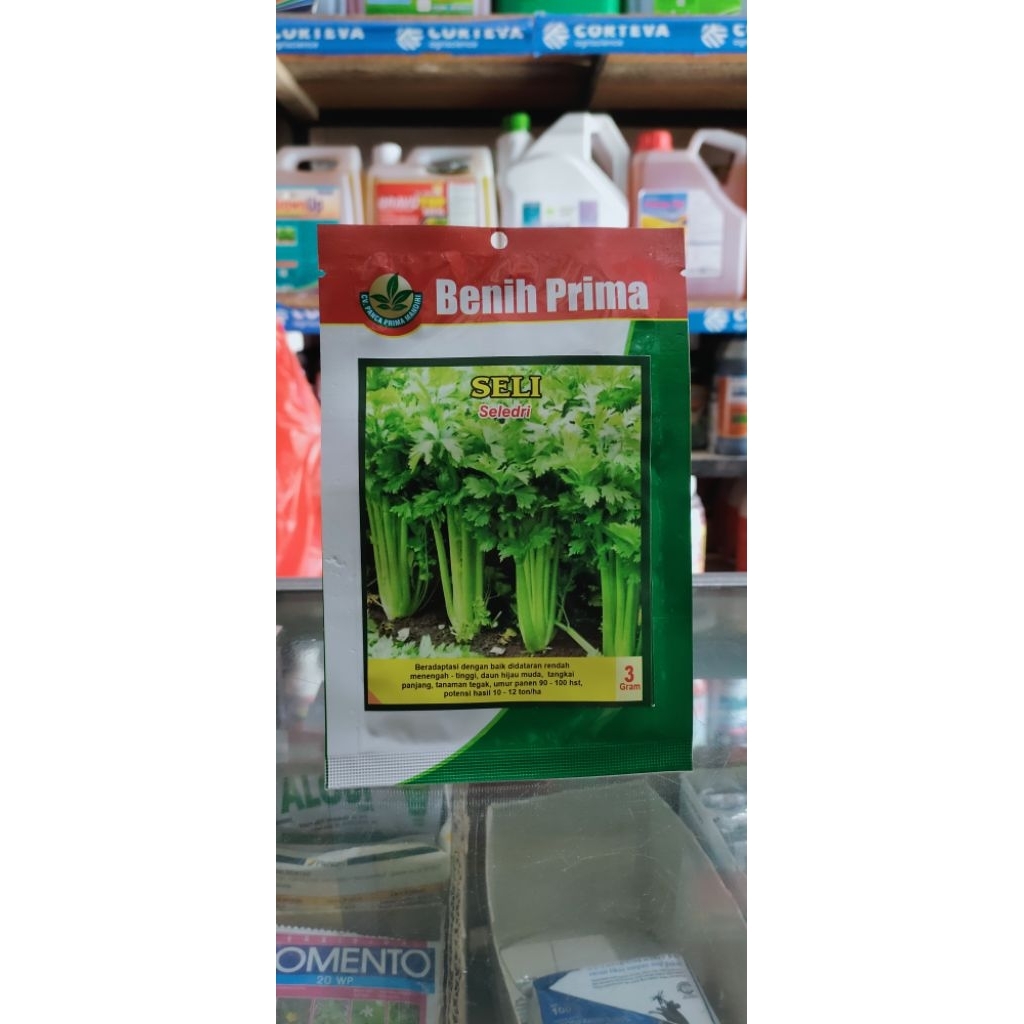 

Bibit sayuran daun seledri Seli 3 gr
