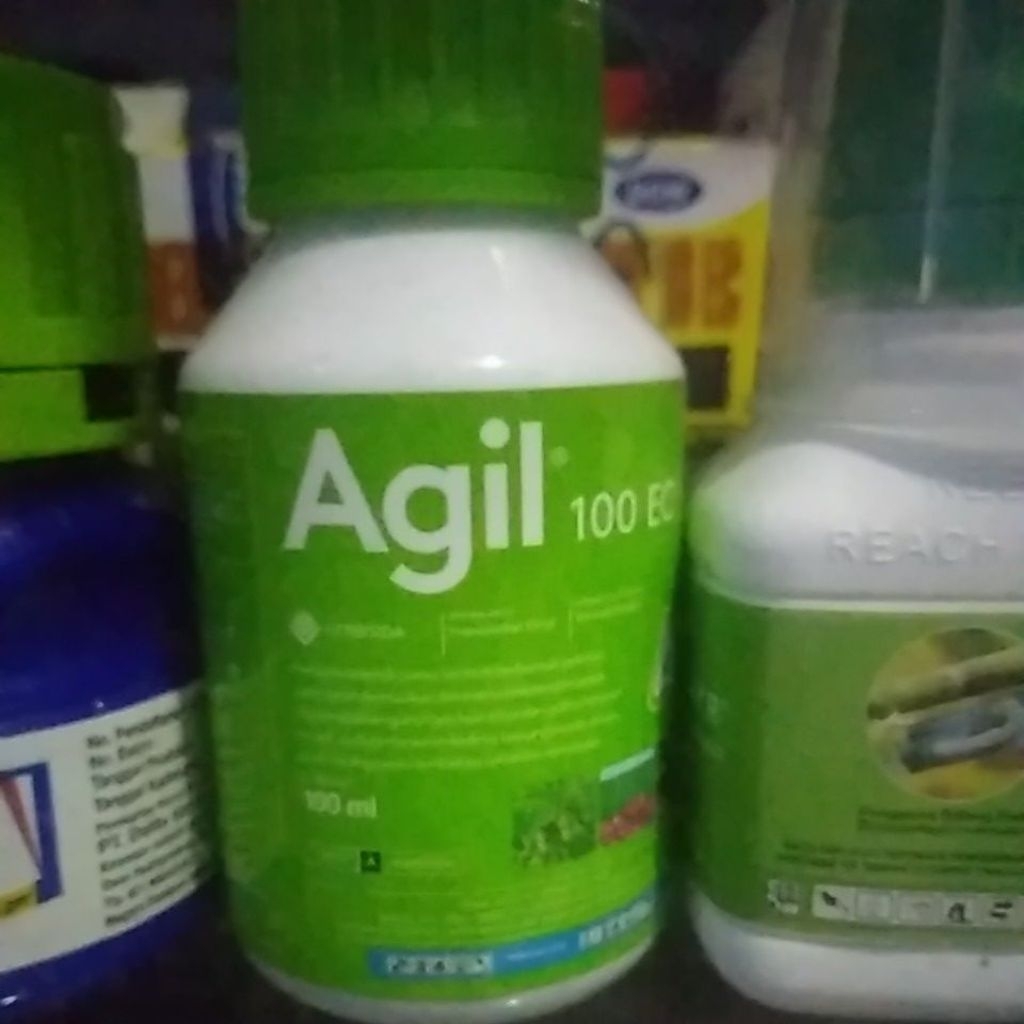 Herbisida Agil 100 EC