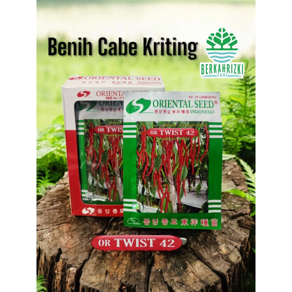 BENIH CABE KRITING OR TWIST 42 F1, PRODUK ORIGINAL 10gr