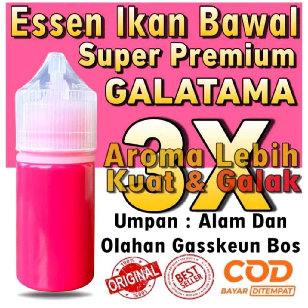 Essen Nu Mancing Ikan Bawal Harian Galatama Indukan Babon Paling Ampuh, Essen Ikan Bawal Harian Jitu