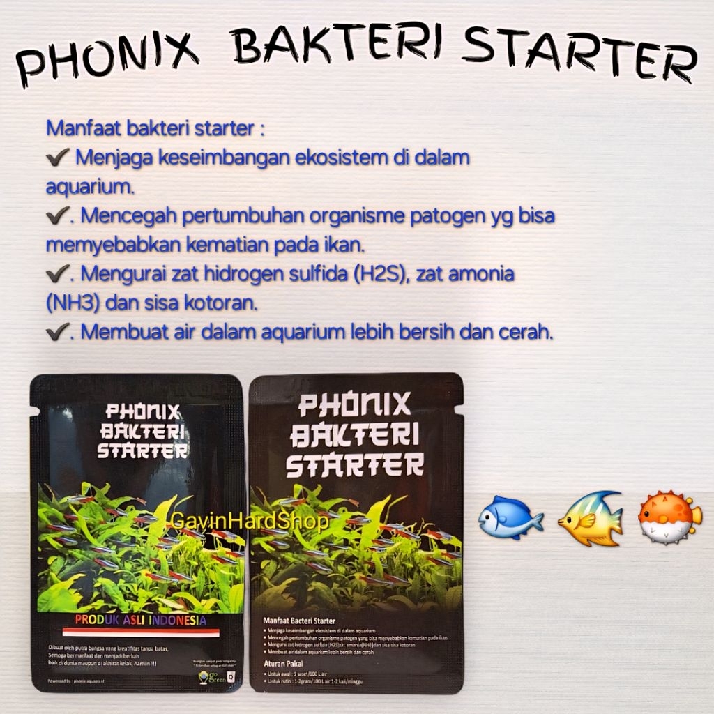 Bakteri Starter Bacteria Starter Phonix