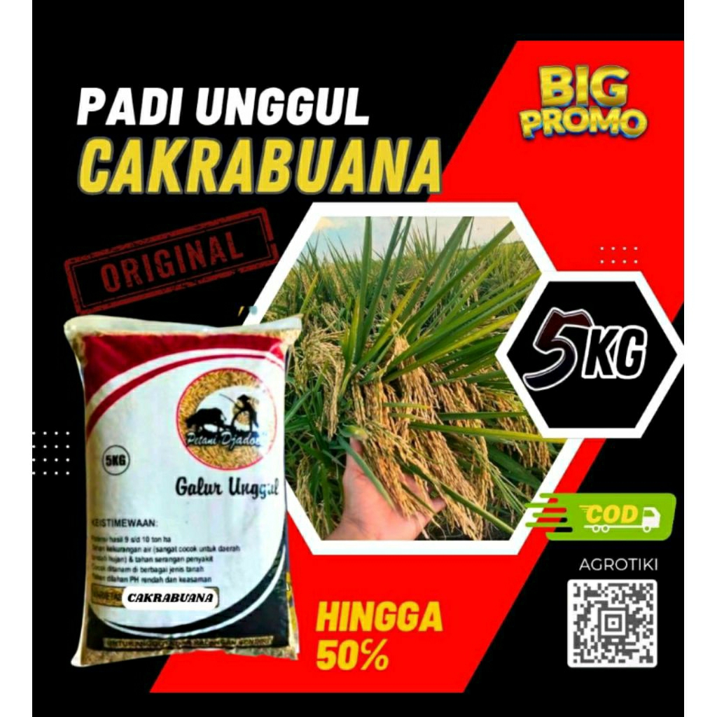 benih padi unggul CAKRABUANA