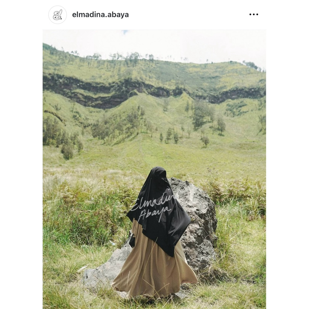 Abaya Elmadina The Dress Antelope M