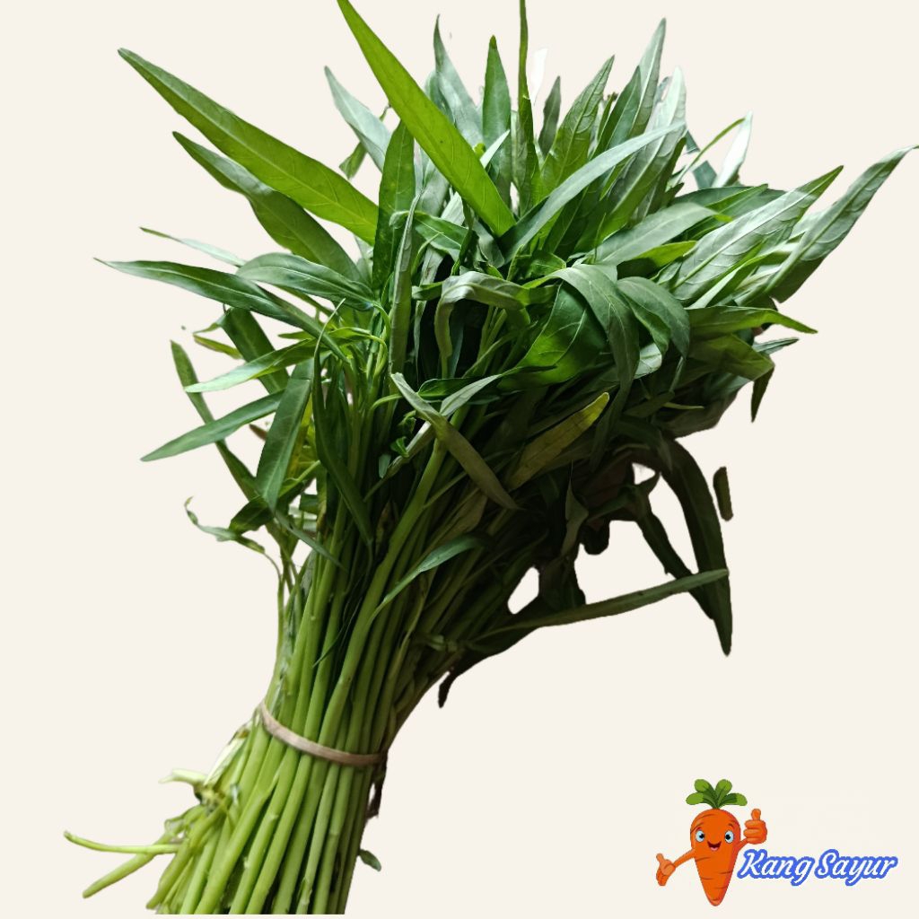 

Kangkung Segar 1 Ikat