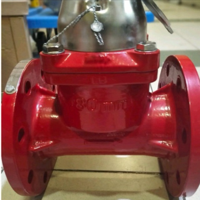 Flow Meter SHM 3 inch