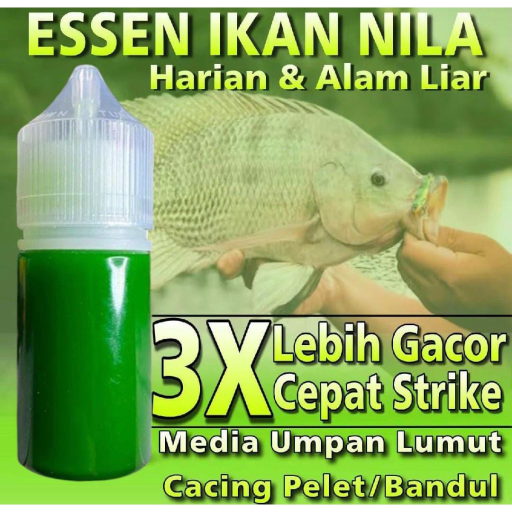 Essen Khusus Ikan Nila Liaran Dan Kolam Paling Manjur Essen Khusus Ikan Nila Media Lumut Cacing Band