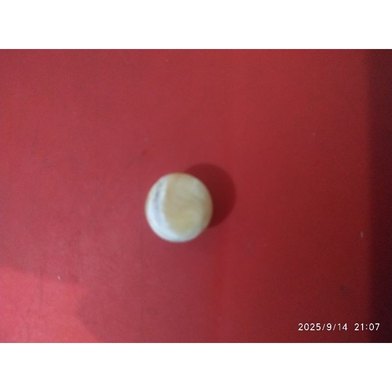 Batu Mutiara Laut Asli / Batu Akik Mutiara Laut