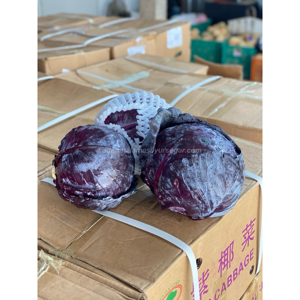 kol merah/kobis ungu 1kg