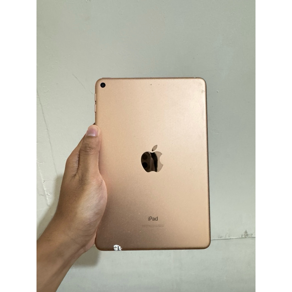 Apple Ipad Mini 5