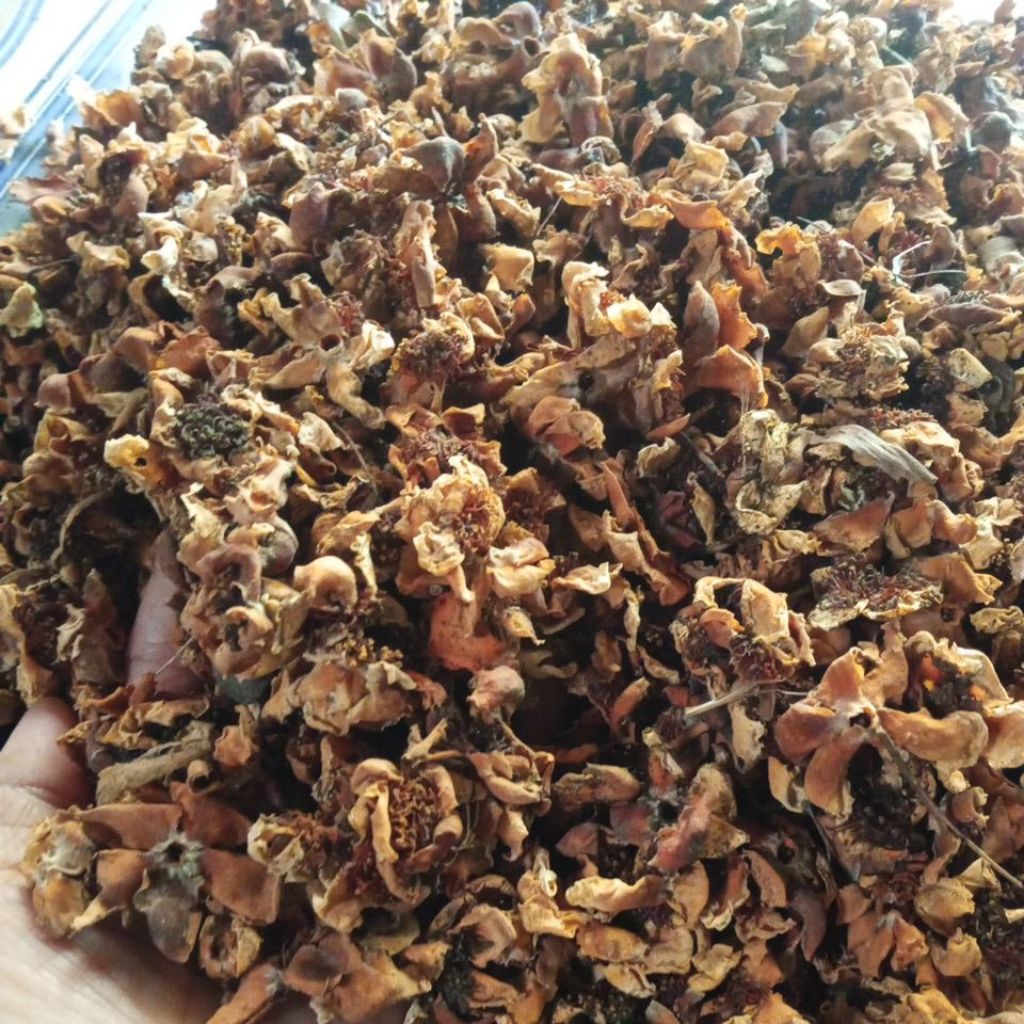 

500GRAM BUNGA PUSPA KERING SRING