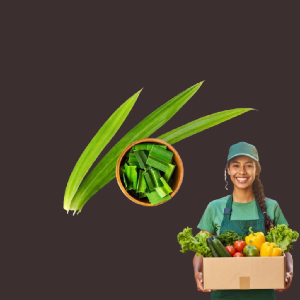 

DAUN PANDAN BUMBU MASAK