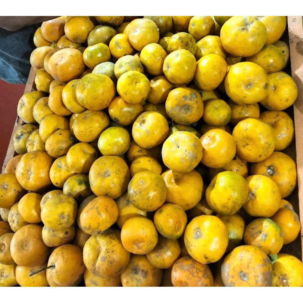 

JERUK MEDAN & MALANG MANISS!!