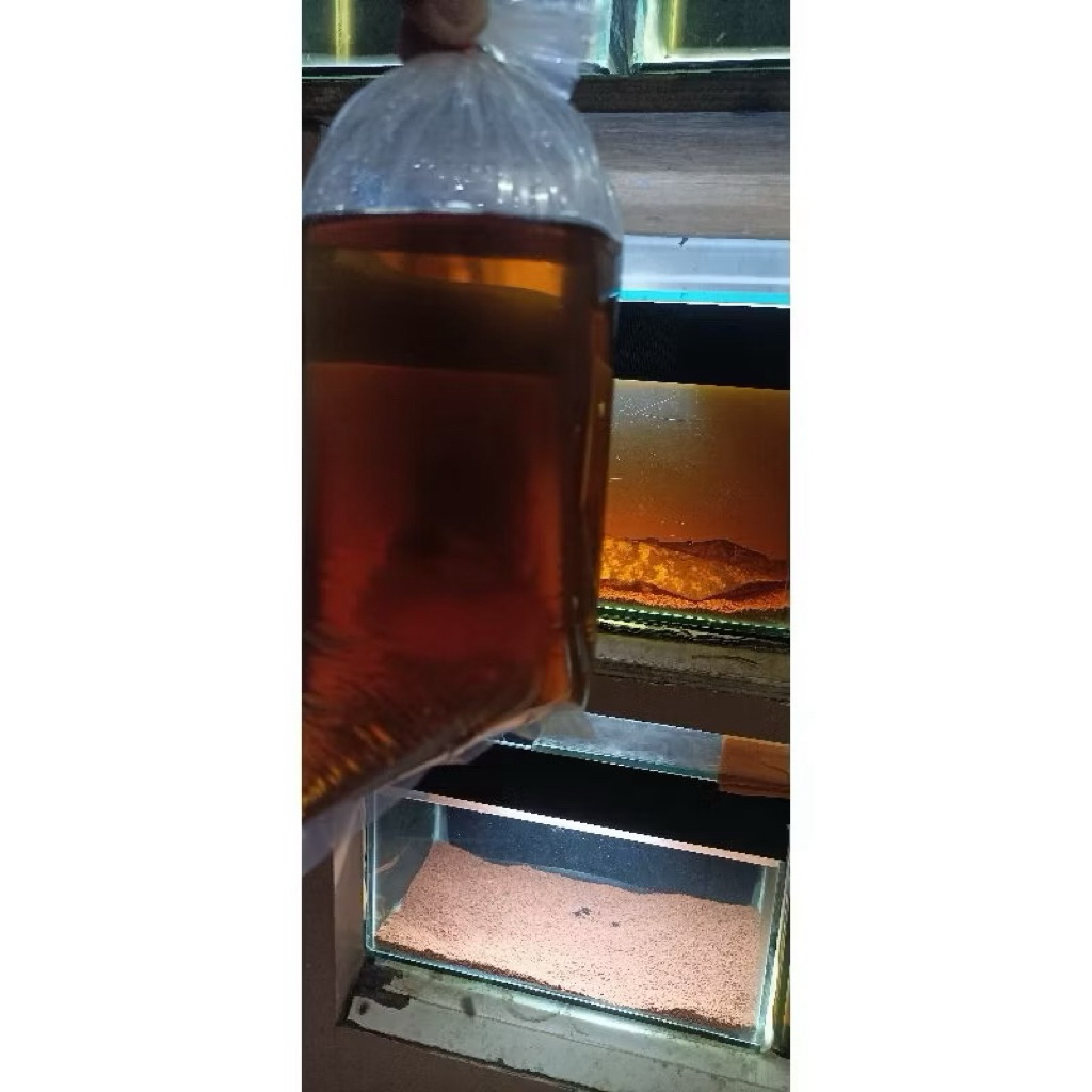 cairan andrao spek hf josjis