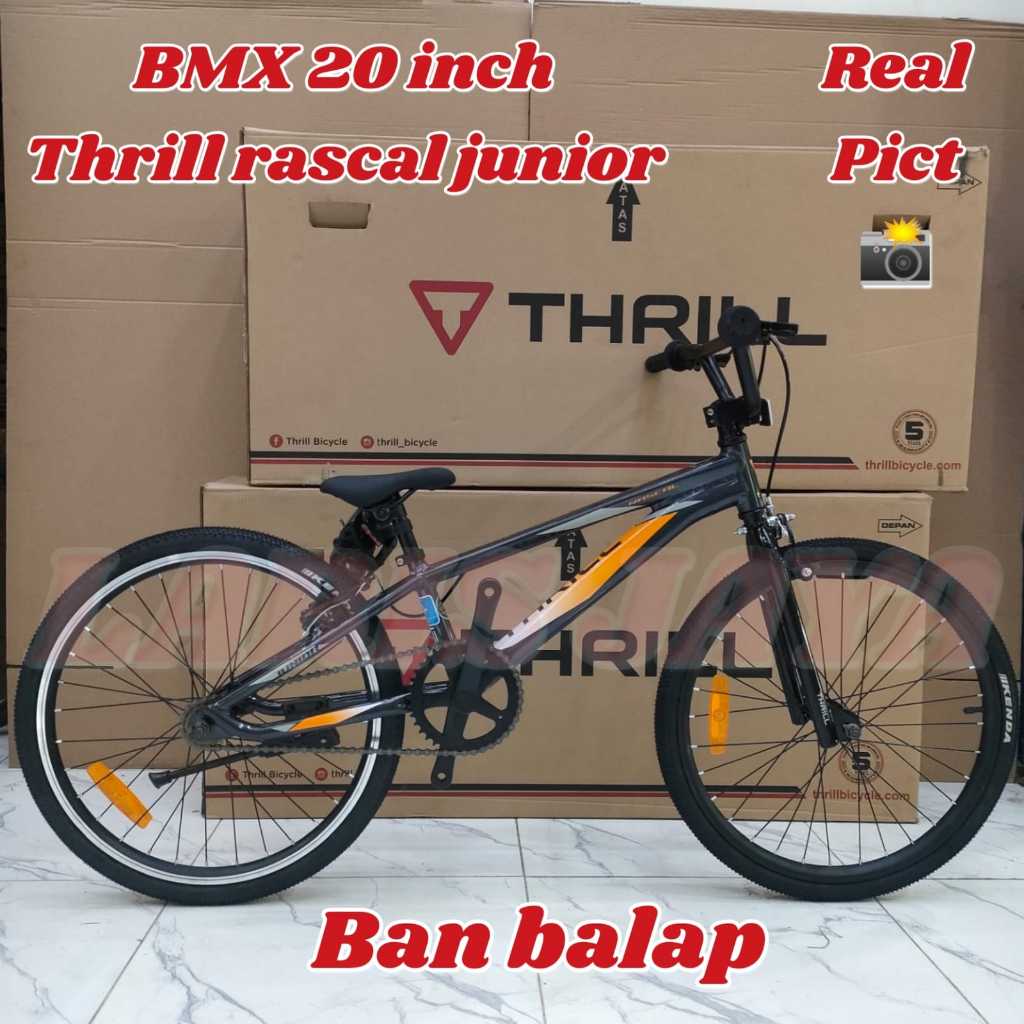 Sepeda Bmx 20 Inch Thrill Rascal Junior Ban Balap TERBARU