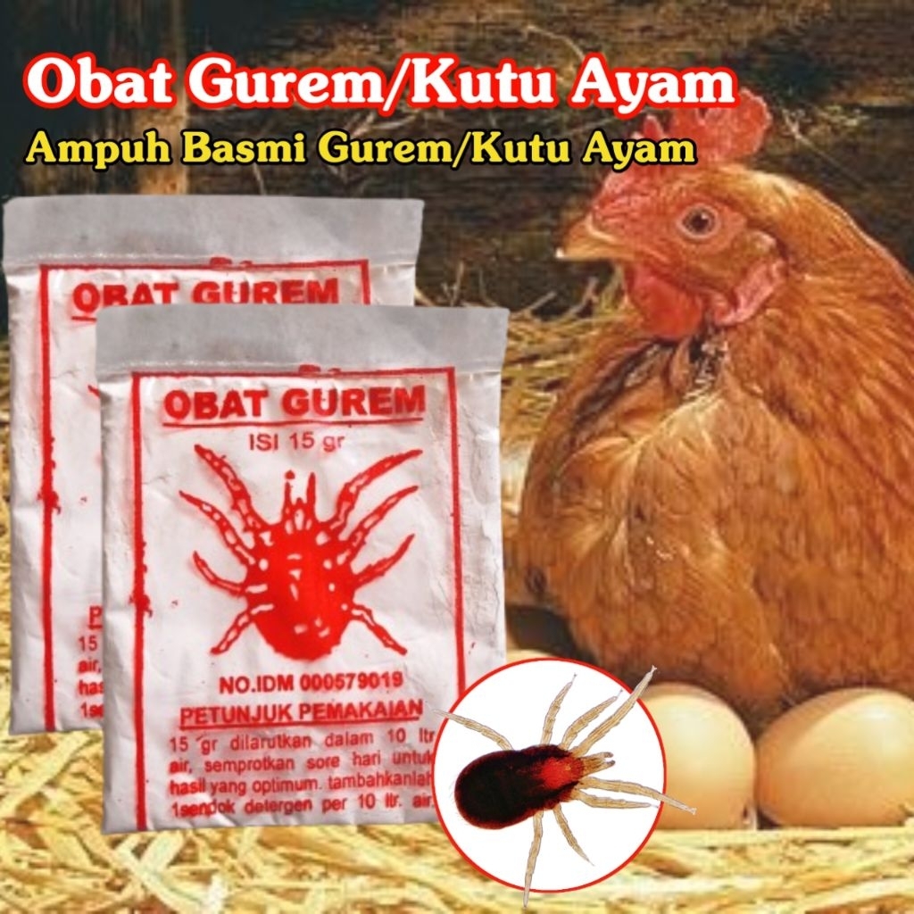 Obat Gurem/Kutu Ayam