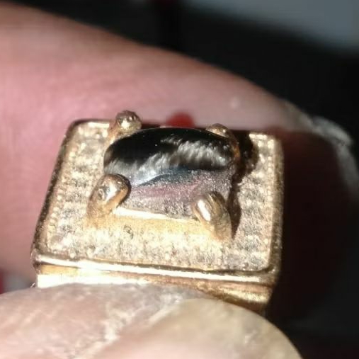 Batu Bulu Macan Minian Asli Lumajang
