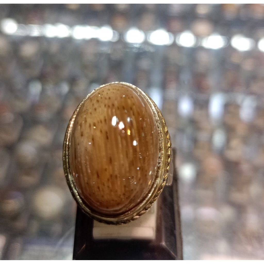 Cincin Batu fosil kelor(natural)