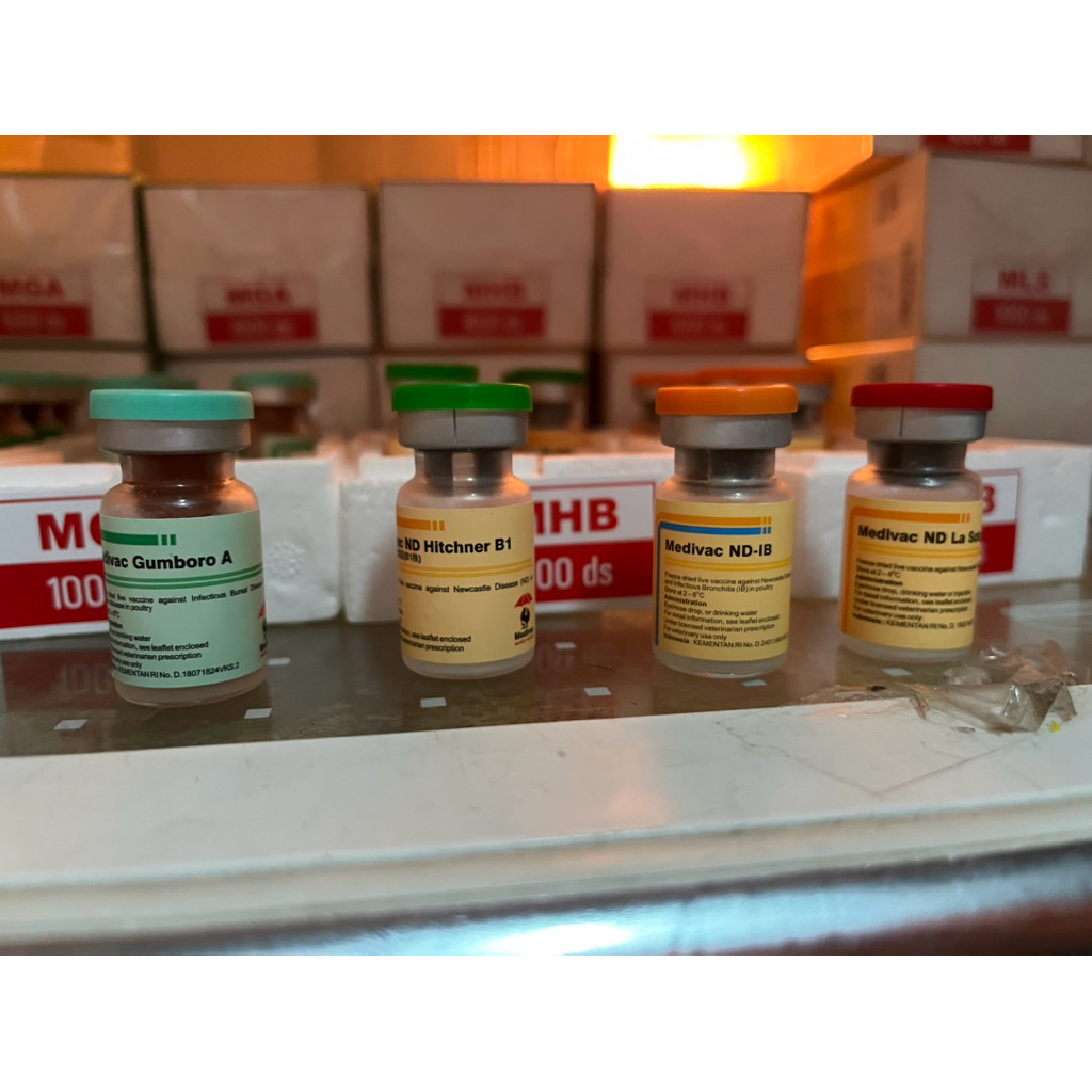 VAKSIN MGA/MHB/MLS/ND IB/DOSIS 1.000