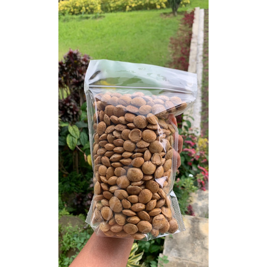 Kacang sacha inchi organik omega 3 6 9 matang 500 gr