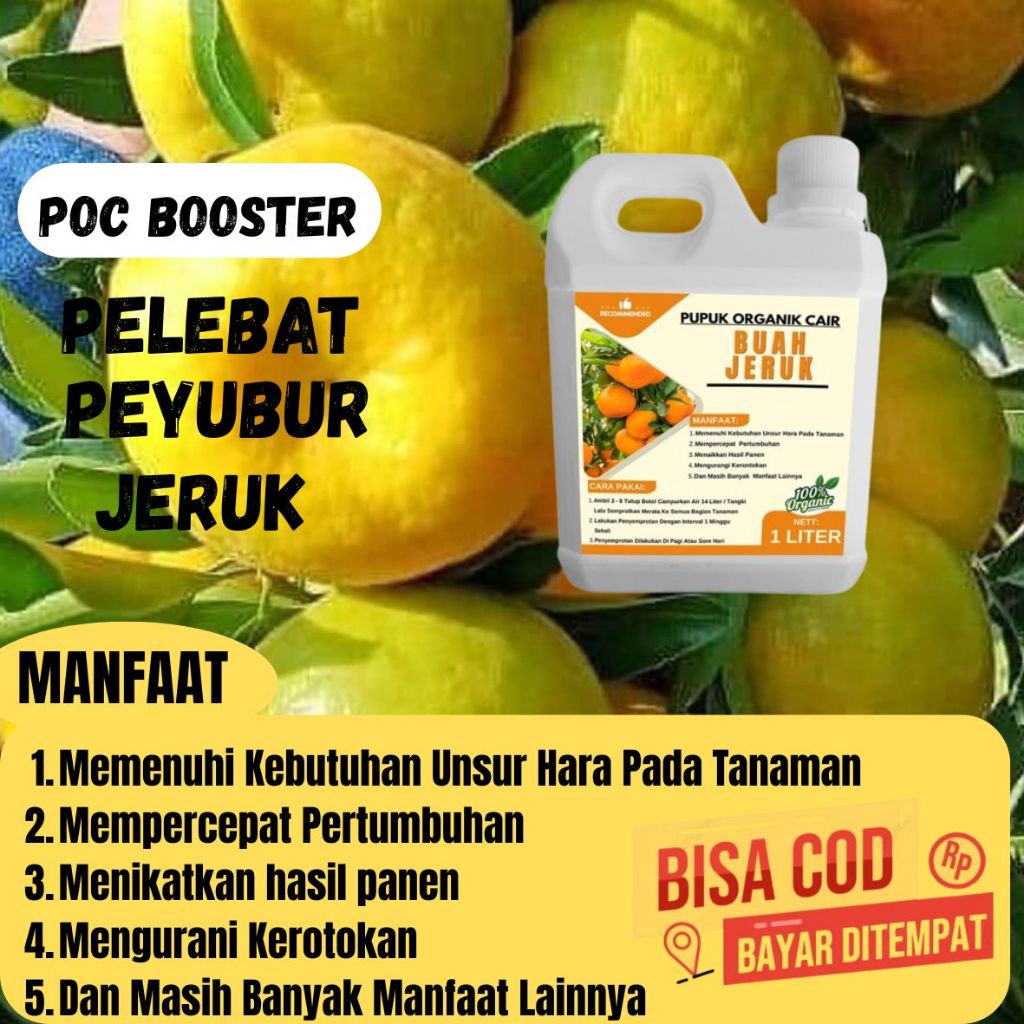 Pupuk Jeruk Manis / Pupuk Pemanis Buah Jeruk / Pupuk Booster Jeruk Manis / Pupuk Organik Booster Jer