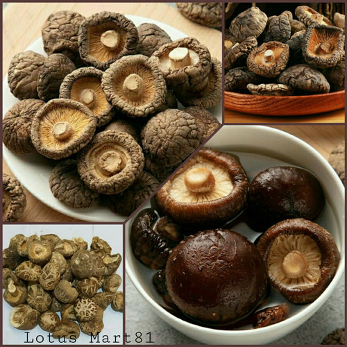 

Jamur payung kering / dried shitake mushroom