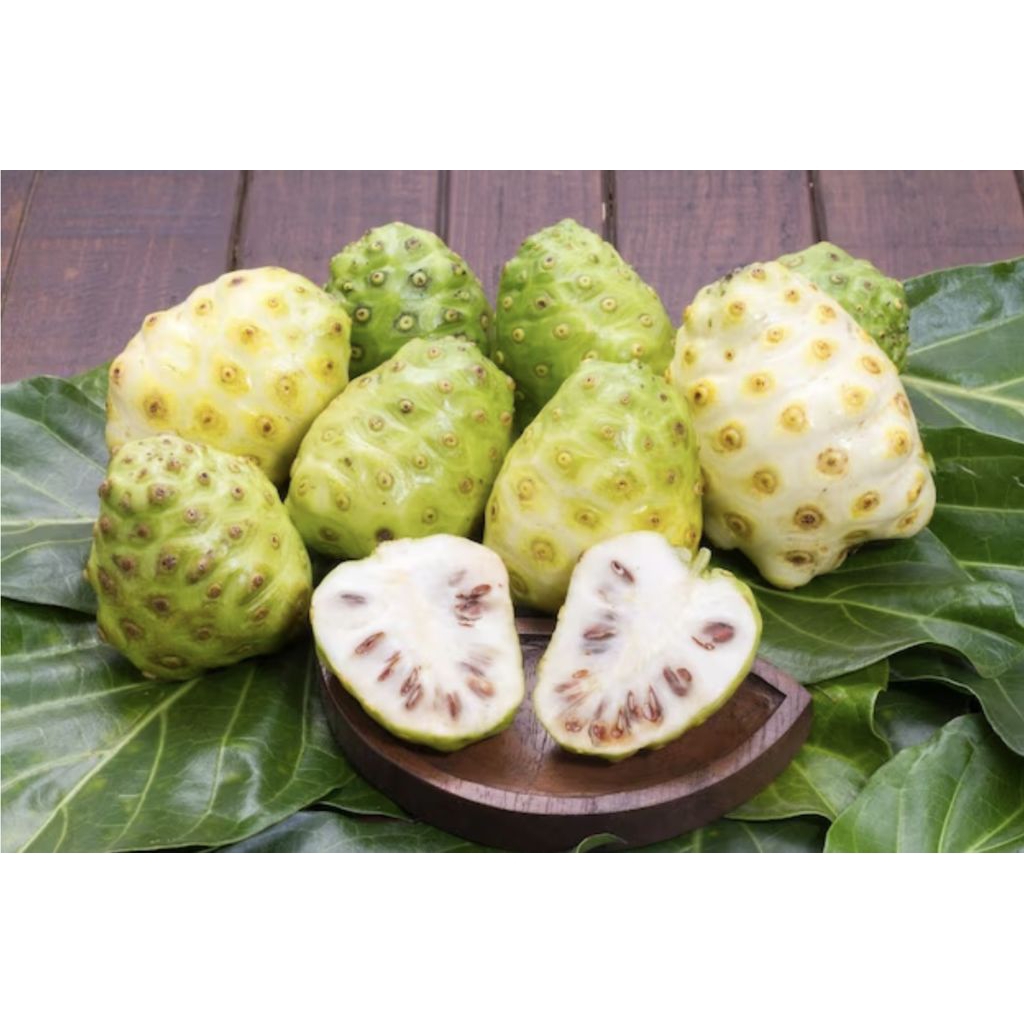 

mengkudu/Pace segar / 10 buah