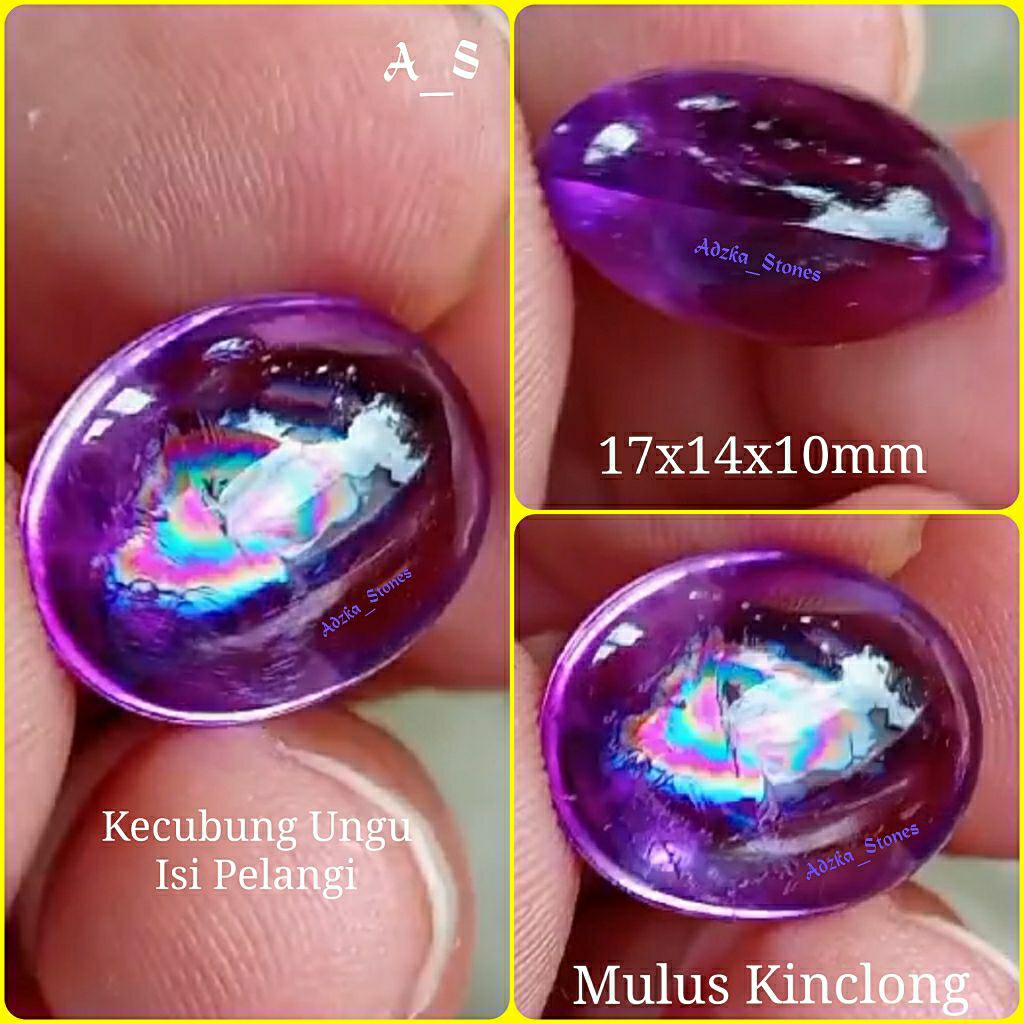 Kecubung Ungu Fenomena Pelangi